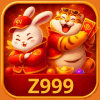 Logo da Z999